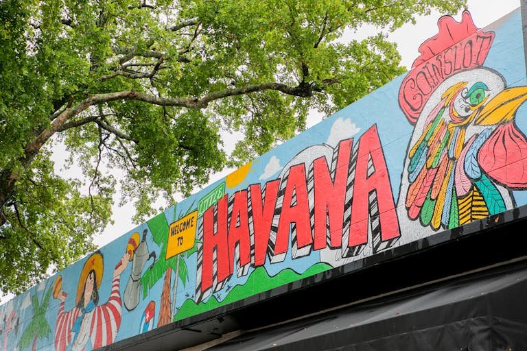 Vibrant mural in Havana featuring colorful rooster and lush greenery.