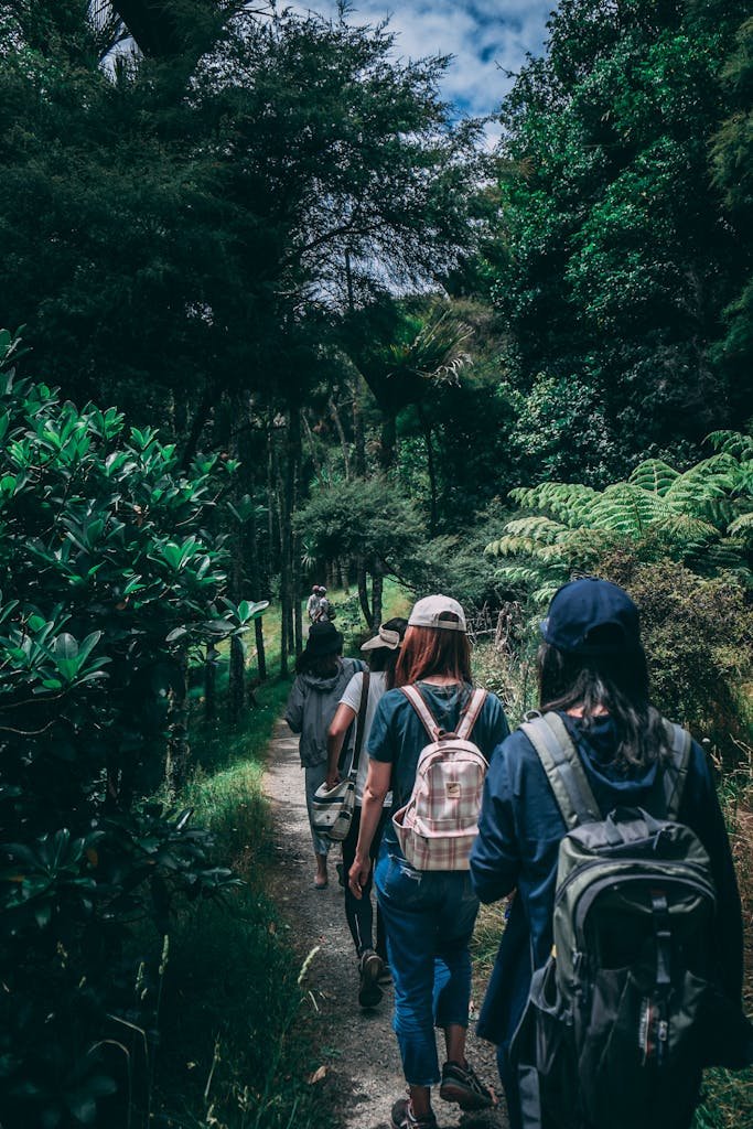 Women hiking along a scenic forest trail, enjoying nature and exploration.