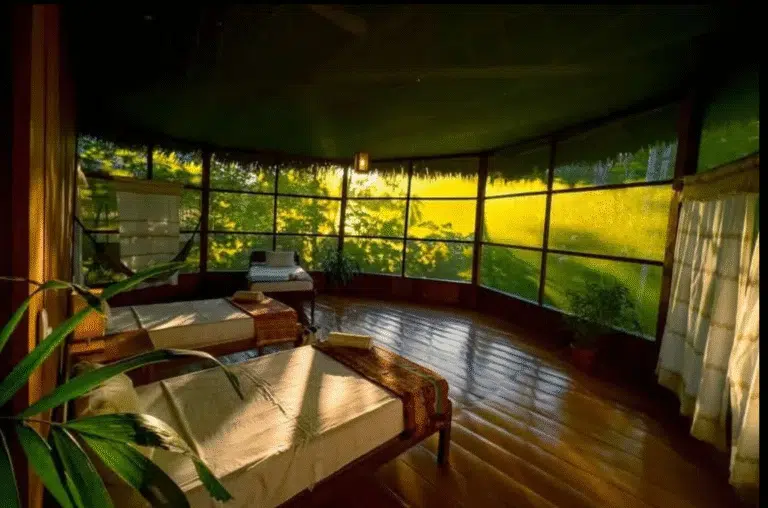 From Flight to Healing: 4 Ayahuasca Retreats You Can Build Into Your Layover