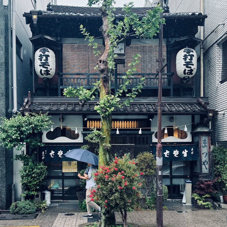 Tokyo layover